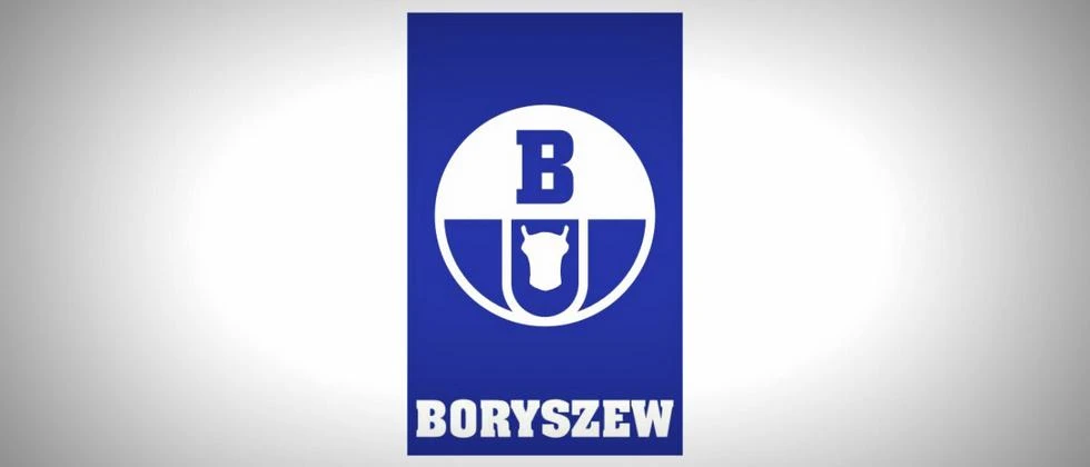 boryszew logo